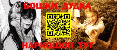 МДПВ Будённовск