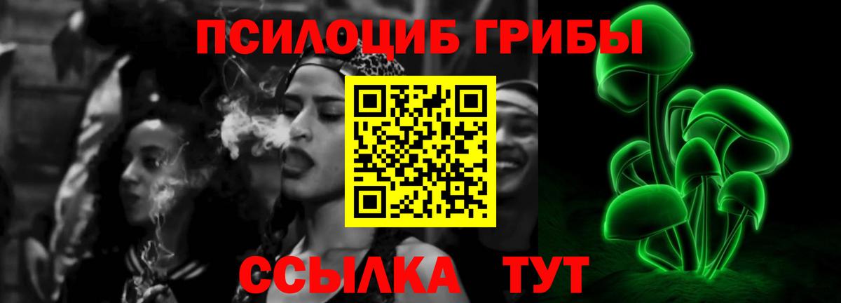 Codein Сегежа